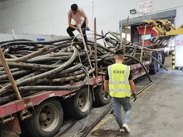 �U�F���յ��Ј�(ch��ng)�����c�ɳ��m(x��)�l(f��)չ����