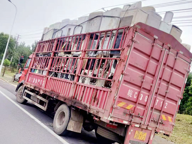 �U�f����O(sh��)�����